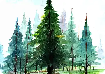 forest